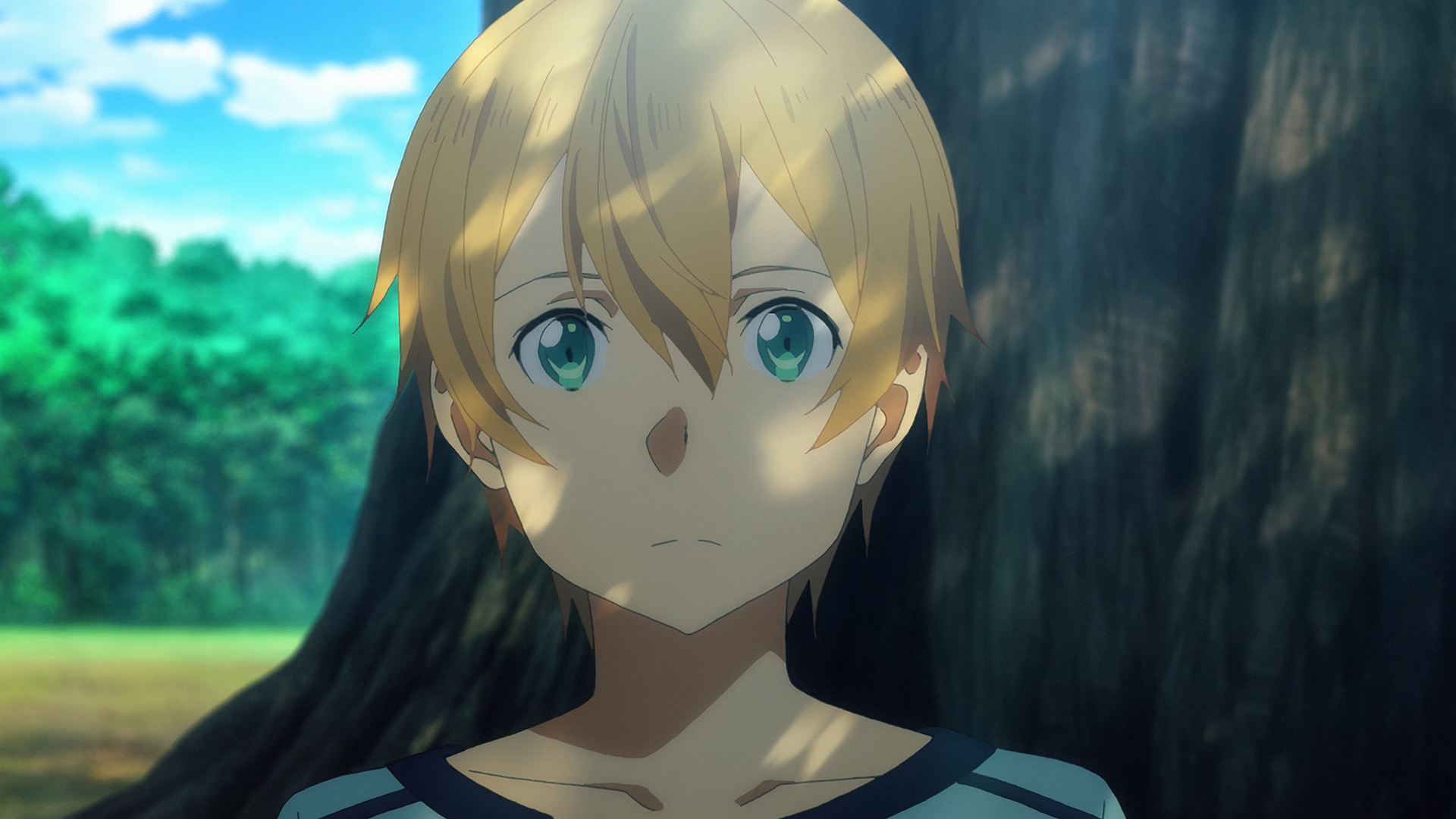 Sword Art Online: Alicization (Hoshizora)